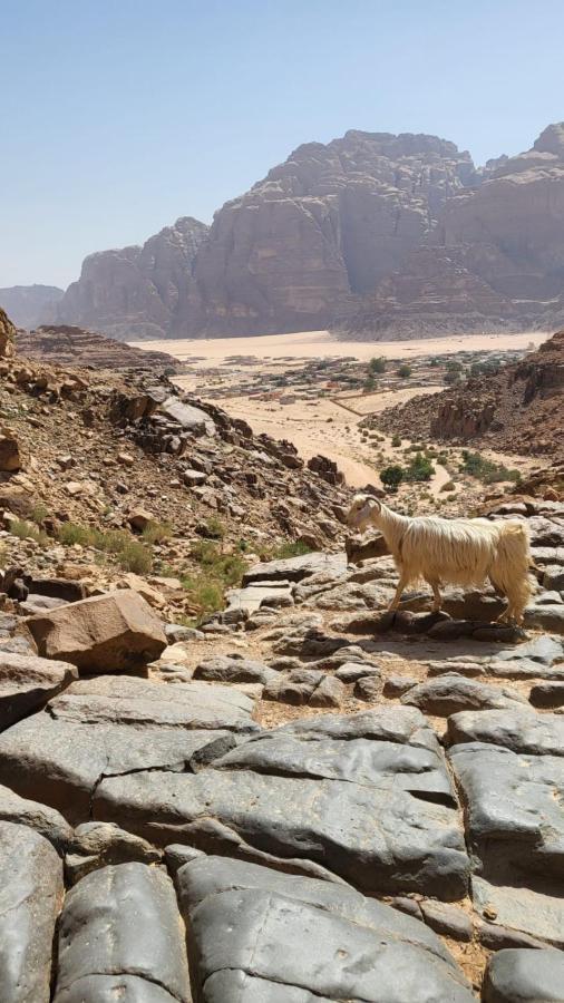 Отель Wadi Rum Nabatean Camp Экстерьер фото