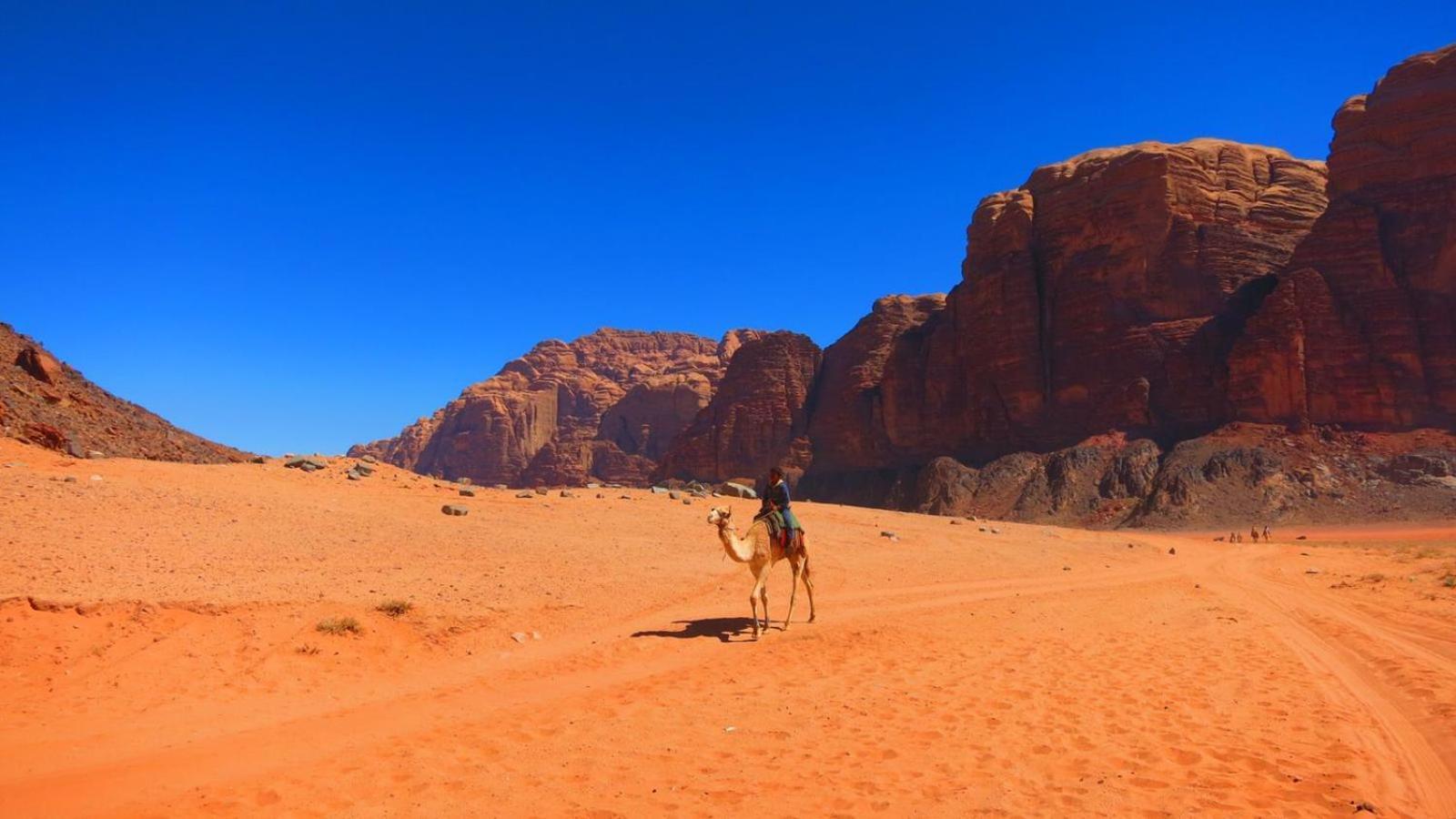 Отель Wadi Rum Nabatean Camp Экстерьер фото