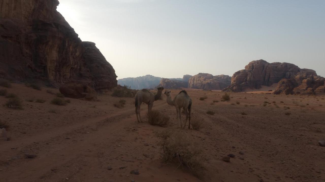 Отель Wadi Rum Nabatean Camp Экстерьер фото