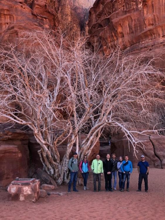 Отель Wadi Rum Nabatean Camp Экстерьер фото